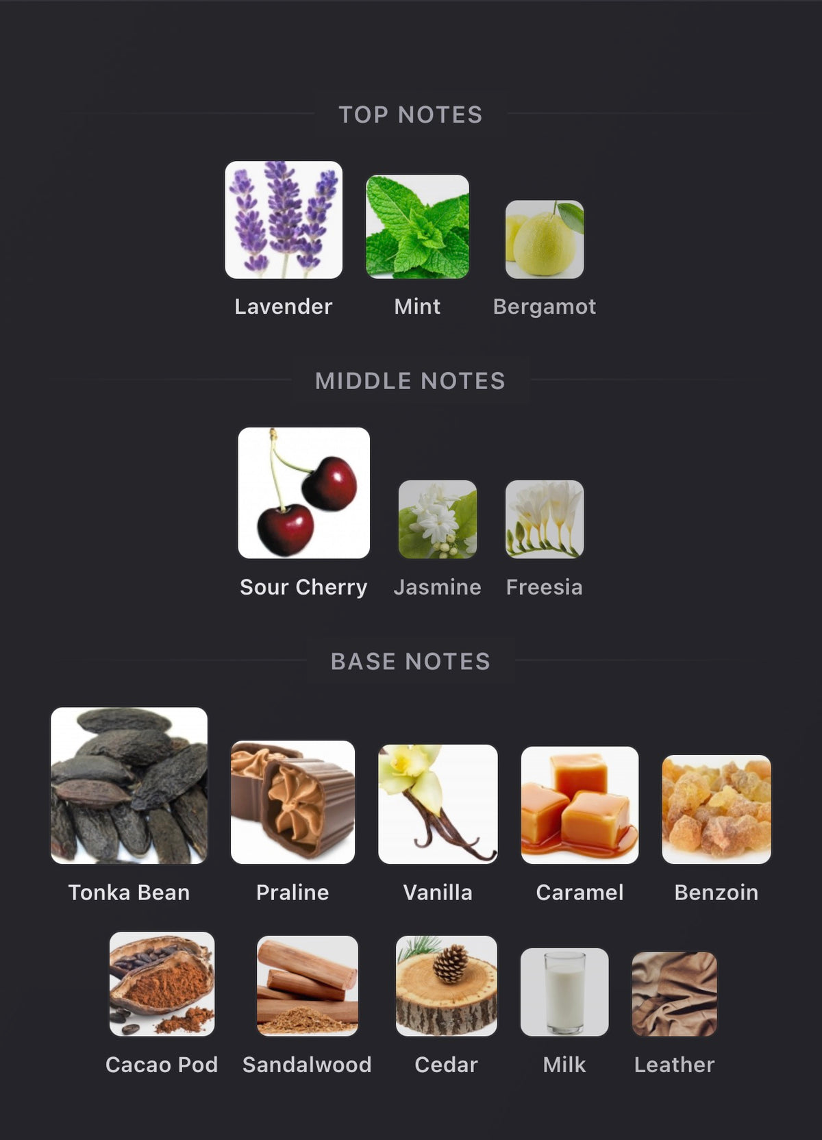 Frenetic Delicieuse (sample)