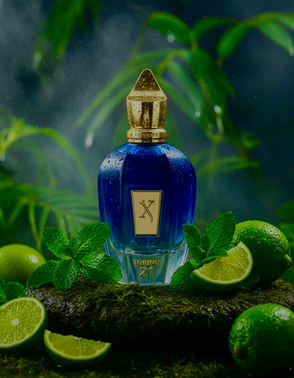 Xerioff Torino 21 (sample)